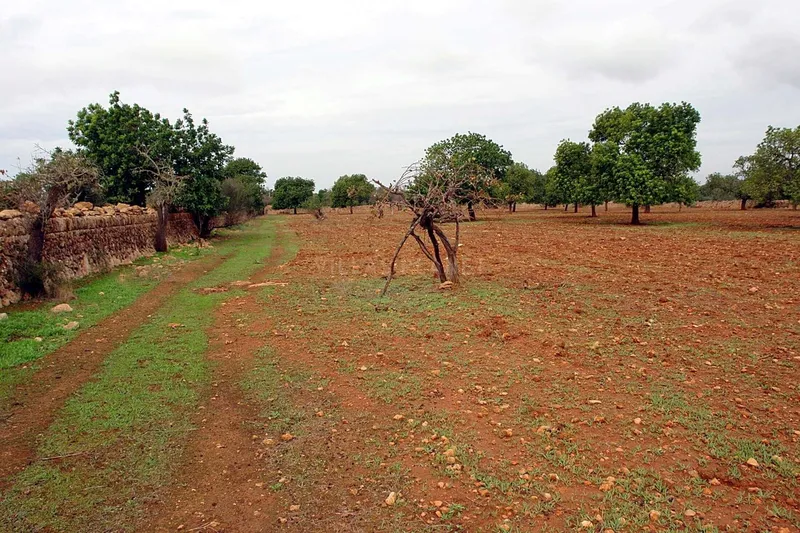 Wide Country Estate in ... — photo 6