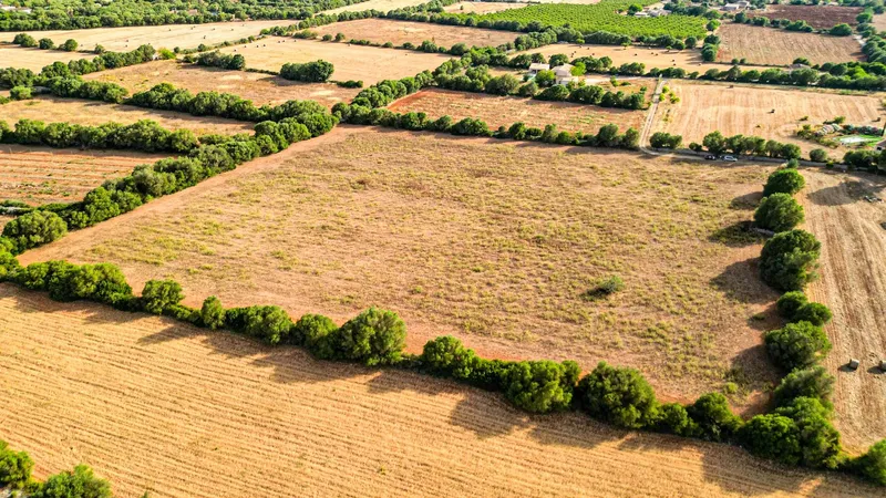 Plot in Felanitx with potential for your dream home — photo 8