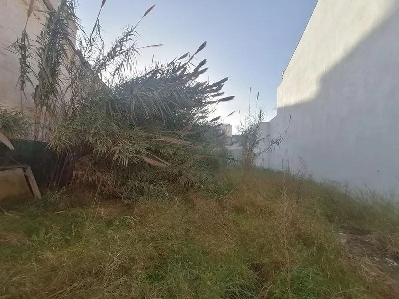 Buildable plot in the center of Felanitx — photo 8