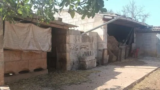 Rustic land in Santa Margalida, plot surface 5000 m² — photo 3