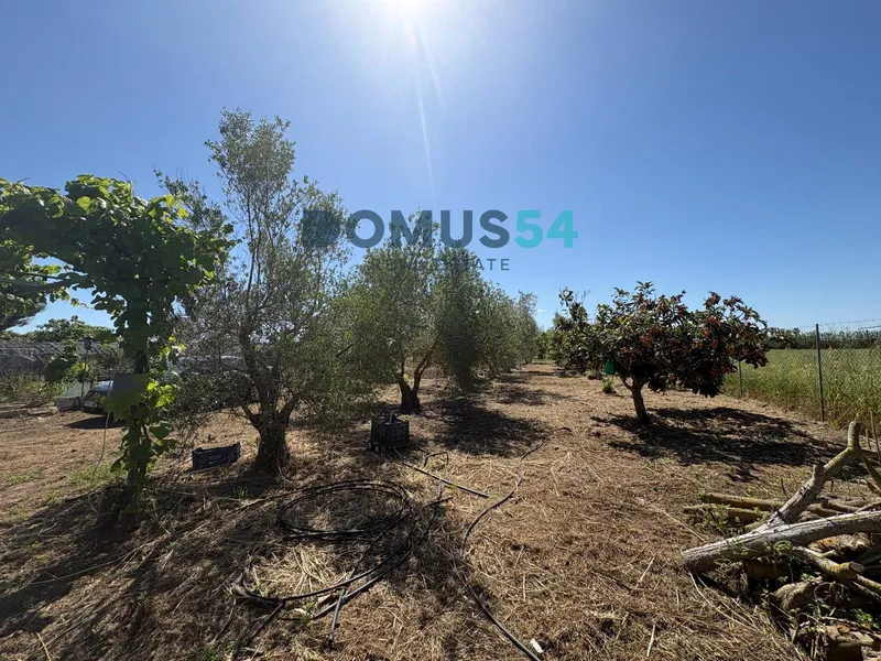 Unbuildable rural land with a shed in Sa Pobla — photo 5