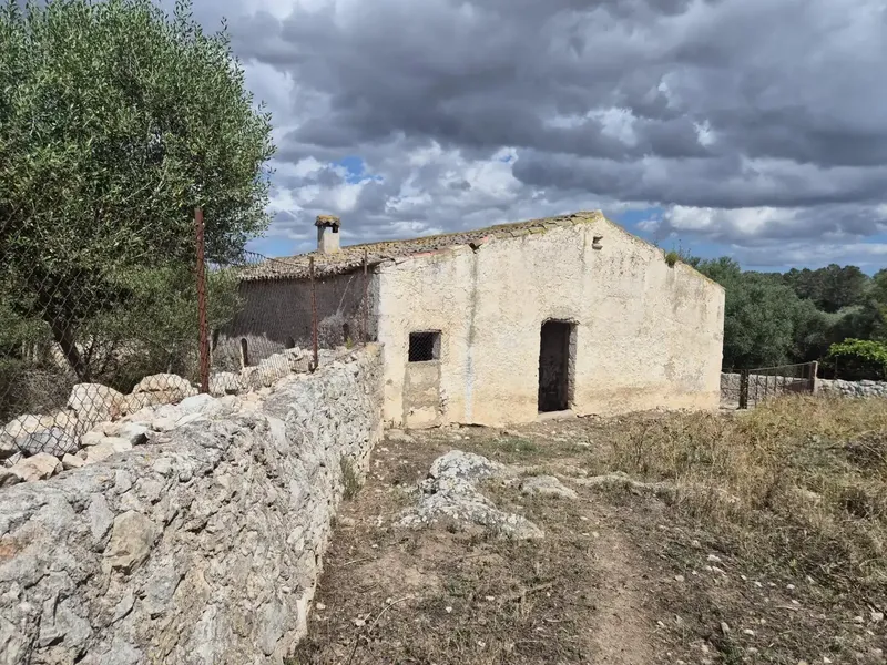 Impressive rustic estate located in the charming town of Sineu — photo 7