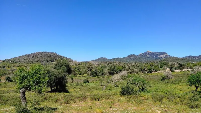 Land in Felanitx, Province of Balearic Islands — photo 10
