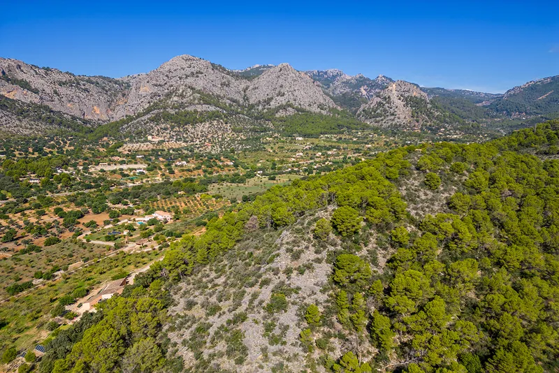 Plot in Bunyola - drone shot with view of the property — photo 6