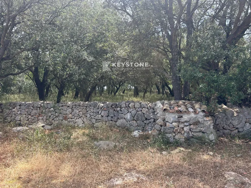 Plot — photo 12