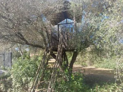 Country House - Manacor (Manacor Centro) — photo 8