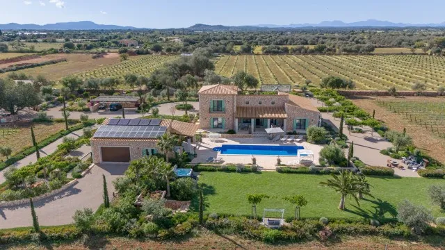 Country estate with vineyard for sale between Felanitx and Porreres, Mallorca — photo 3