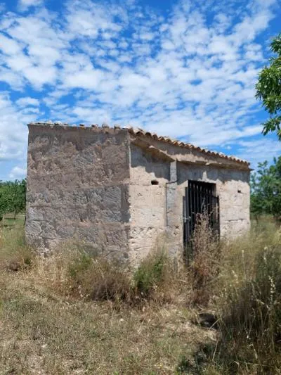 Rustic Land - Inca (Peri-urban Zone) — photo 6