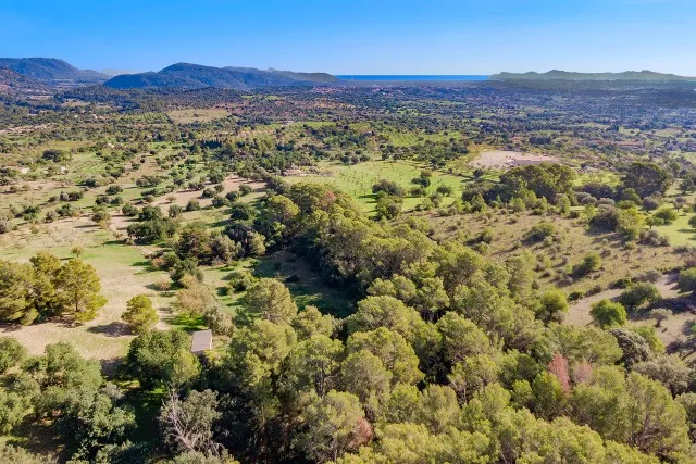 Urban building plot for sale, Pollensa, Mallorca — photo 11