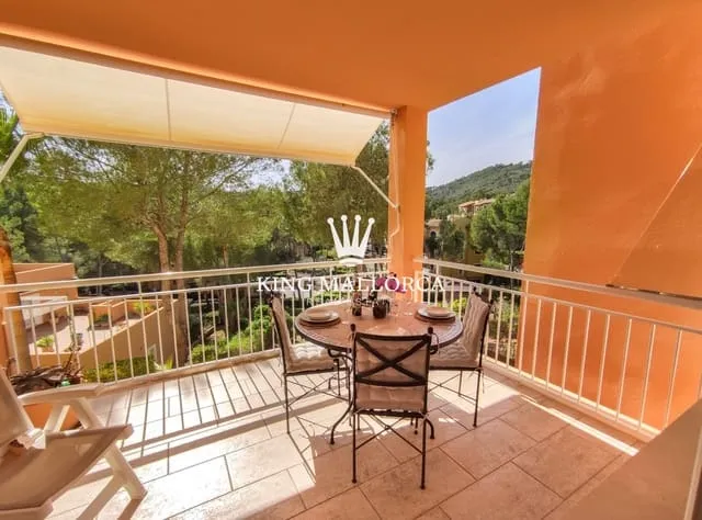Apartment for rent in Peguera / Paguera, Calvià — photo 7