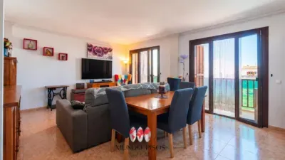 Apartment on Carrer D'en Jordi Des Racó — photo 3