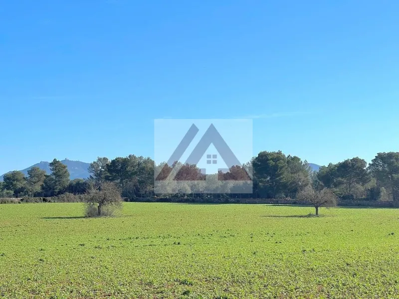 Ländlichles Land zu verkaufen in Campos — photo 7