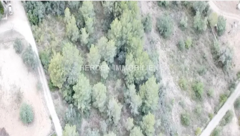 Plot of Land in Son Servera for Sale — photo 10