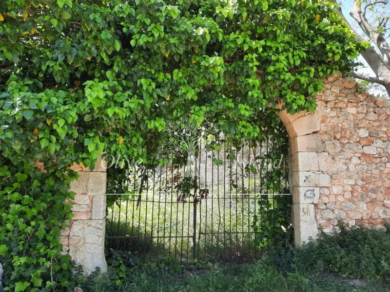 Mansion in Binissalem, Province of Balearic Islands — photo 2