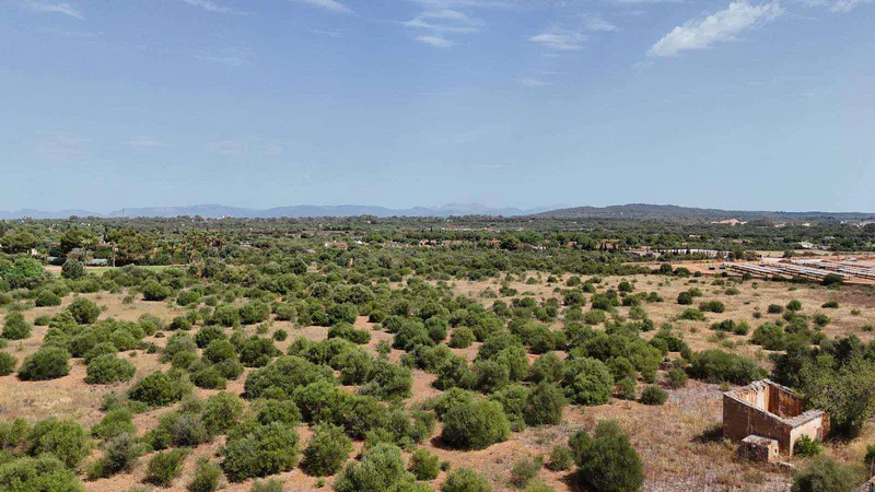 Rustic plot next to Son Antem, Mallorca — photo 6