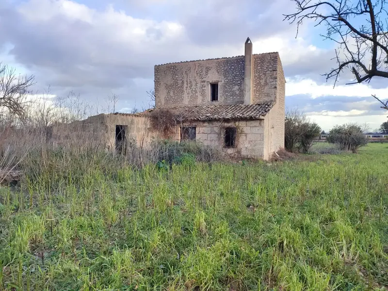 Rustic house in Binissalem — photo 5