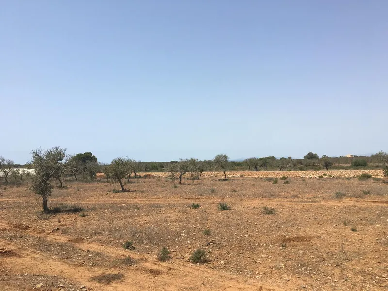 Villa for sale in Es Llombards Santanyi of 420 m2 — photo 10