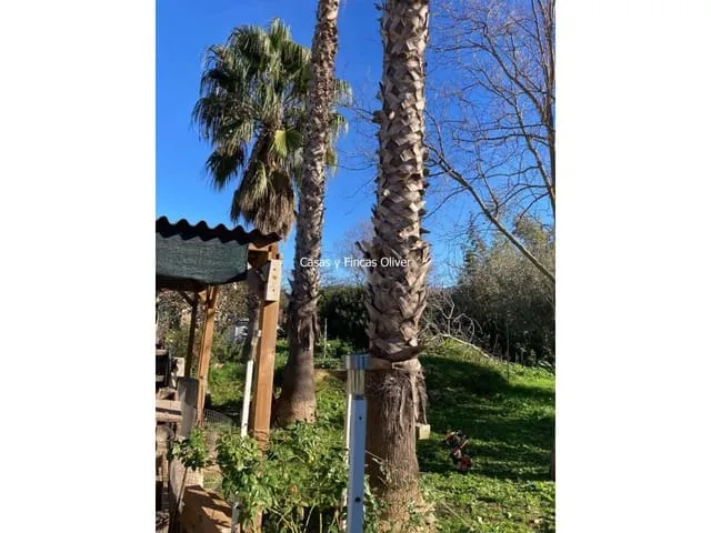 Finca/Country House for sale in Inca, Mallorca — photo 9