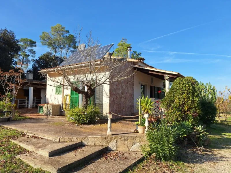 Sant Joan (Centre of the Island): Charming finca with pool, private well, guest apartment and 82 m² shed — photo 5