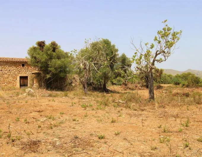 Beautiful rustic finca near the village of Arta — photo 6