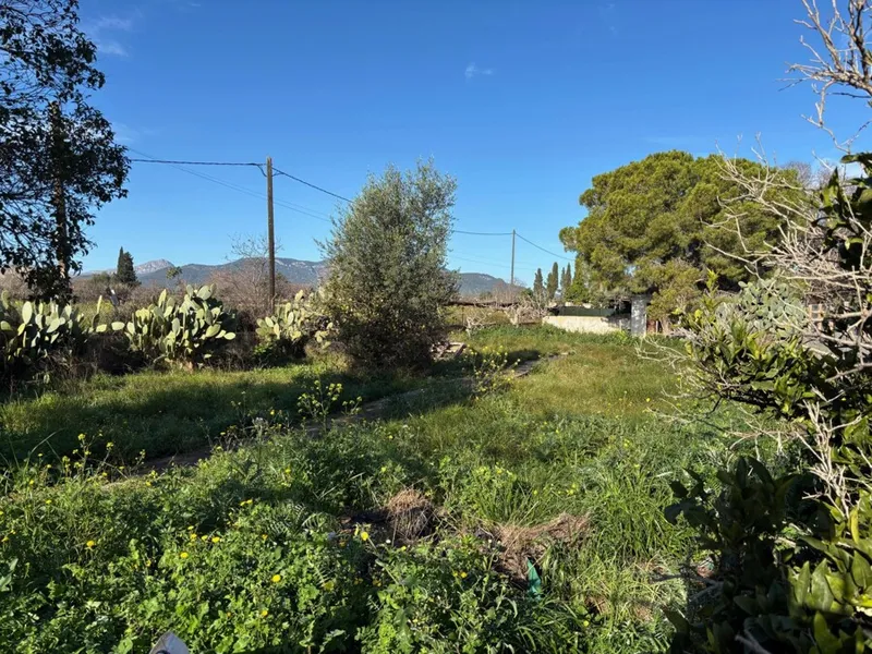 Urban Plot in Son Sardina with Open Views and a Prime Location — photo 6