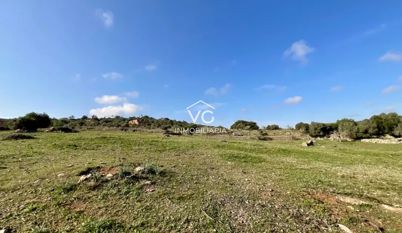 Son Servera · Mallorca — photo 4