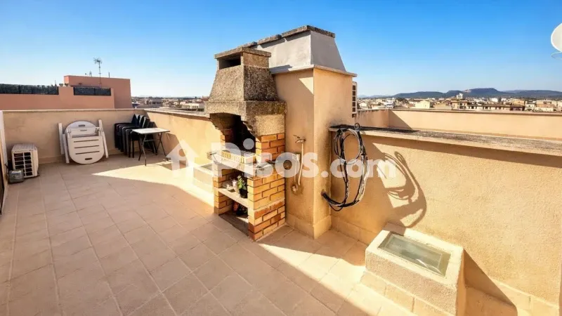 Attic in Campos — photo 2