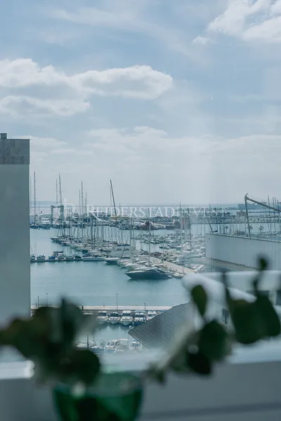 Palma - Son Armadams — photo 5
