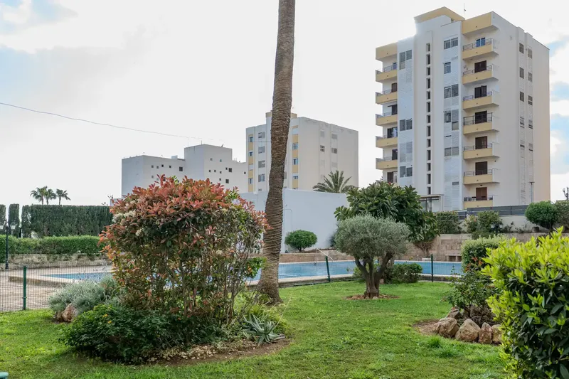 Living in Portals Nous is enjoying one of the most demanded areas of Mallorca, both for habitual residence and for weekend getaways — photo 12