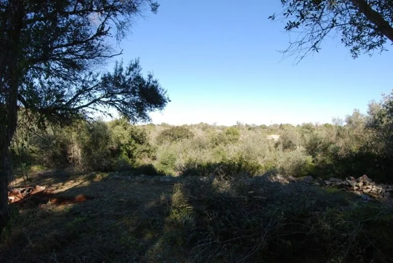 Reihenhaus mit Renovierungsprojekt in Es Llombards — photo 8