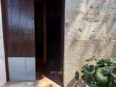 Finca with a pool and an idyllic garden between Son Carrió and Porto Cristo — photo 4