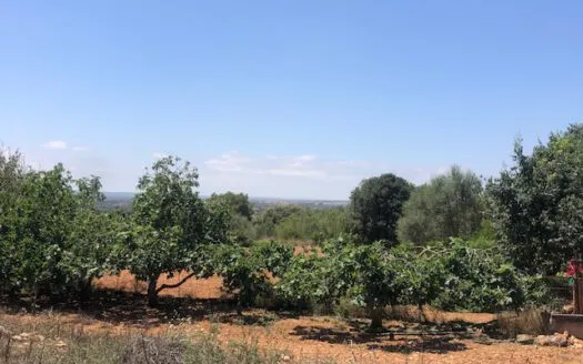 Rustic Finca in Campos — photo 8