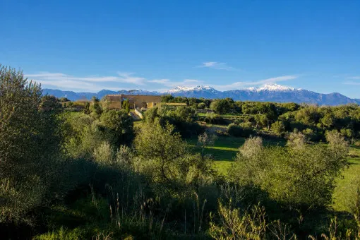 Lloret de Vistalegre, Historic estate near Sineu with approximately 76 hectares of land. Purchase — photo 2