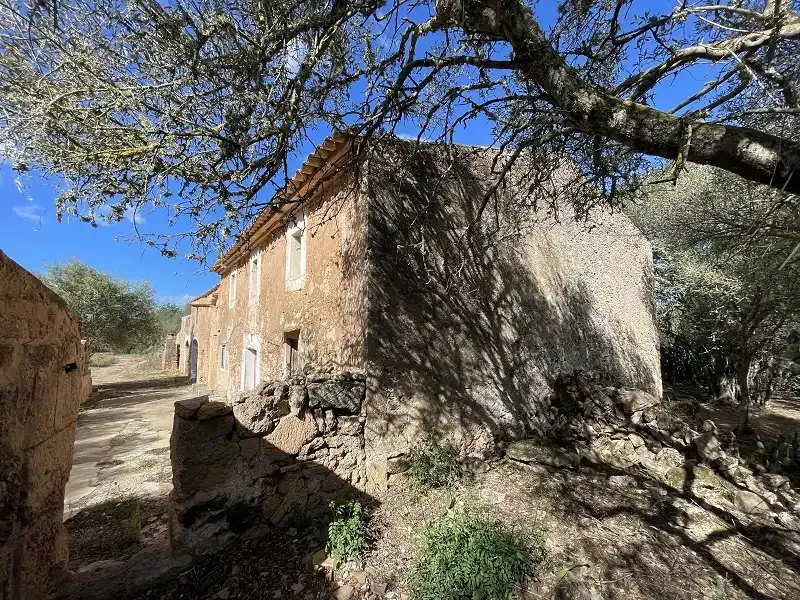Old finca from 1870 for complete renovation — photo 6