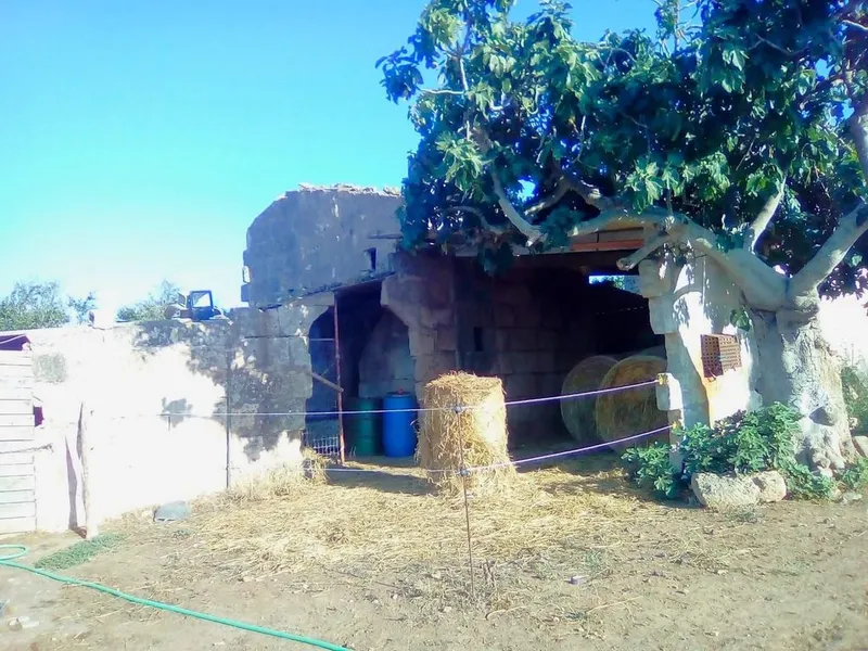 Rural or Farmhouse in Muro, Province of Balearic Islands — photo 11