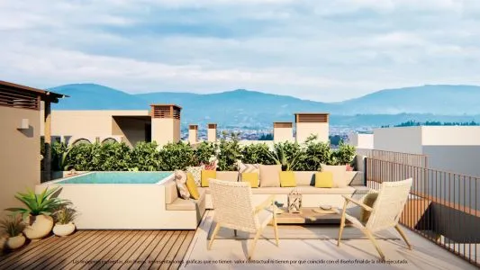 Flat - Palma de Mallorca (Santa Catalina) — photo 4