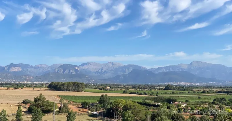 House for sale in Sencelles, Mallorca, Baleares, Spain — photo 4