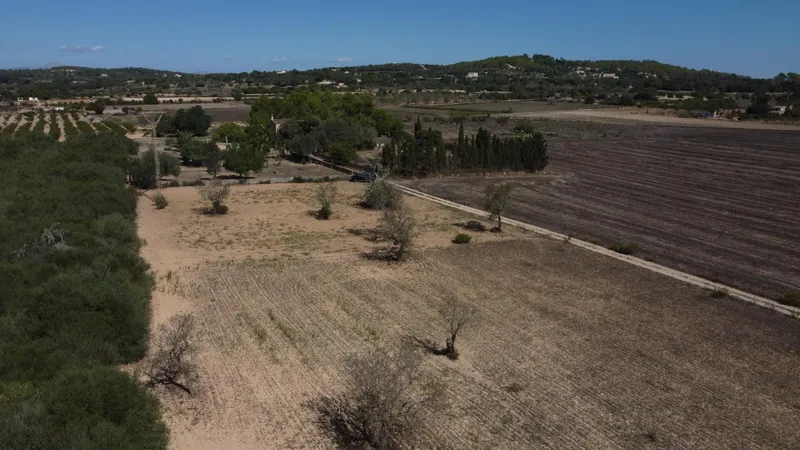 Rustic plot of 1,753 m² near Porreres — photo 7