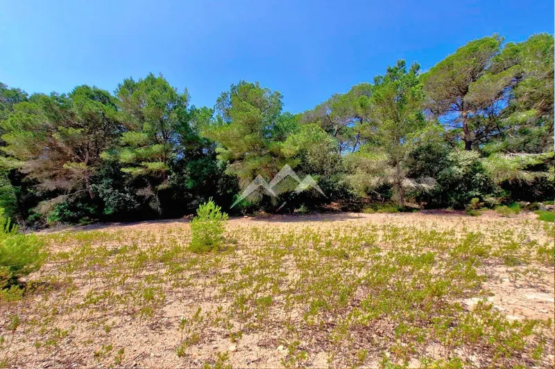 Large Rustic Estate of 266,000 m2 in Artà — photo 10