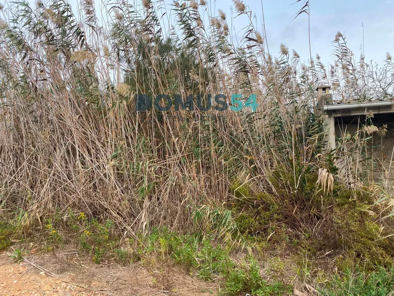 plot in Sa Pobla — photo 3