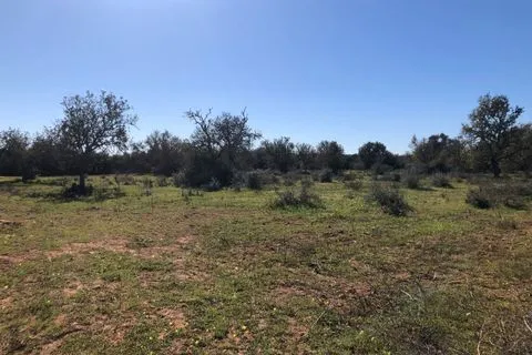 Land in Porreres, Mallorca — photo 8