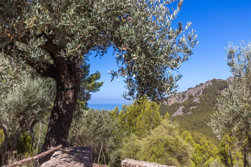 Charming Mountain Cottage with Views and Total Tranquility – Port de Sóller — photo 7