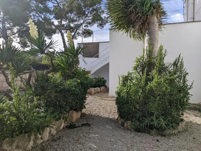 Apartment building in Son Verí — photo 6