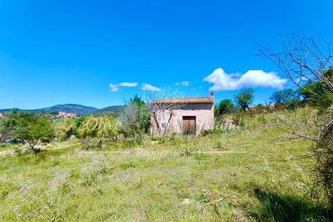 Land in Alaro, Mallorca — photo 9