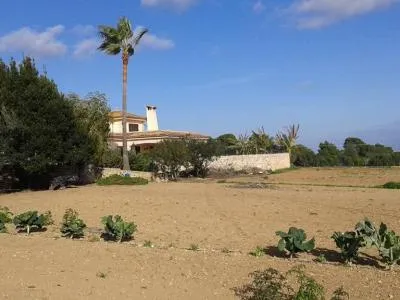 Prime location near Porto Cristo — beautiful finca for sale — photo 9