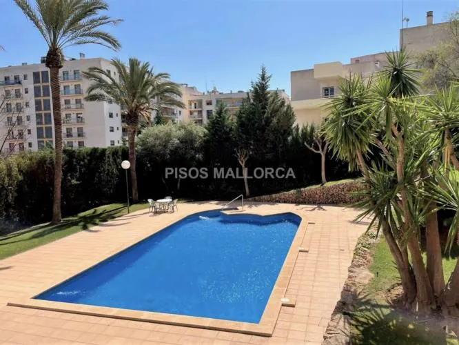 Apartment in Palma de Mallorca, Colegios Area — photo 3