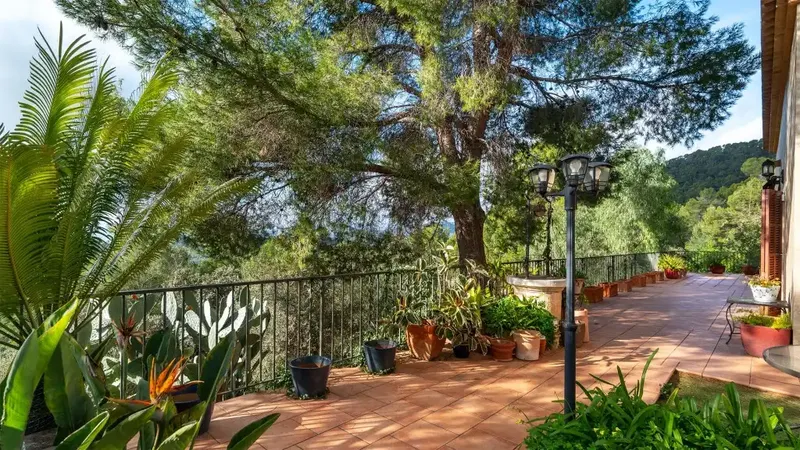 Discover this magnificent rustic estate located in the Sierra de Tramuntana, near the picturesque village of Bunyola. Surrounded by nature, it — photo 2