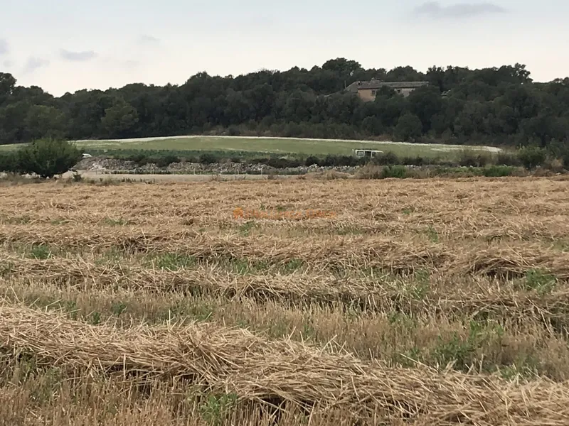 Rustic plot for sale between Porreres and Vilafranca — photo 1