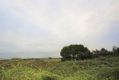 Land in Manacor — photo 5