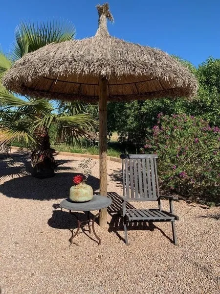 Hotel in ses Salines, Province of Balearic Islands — photo 12